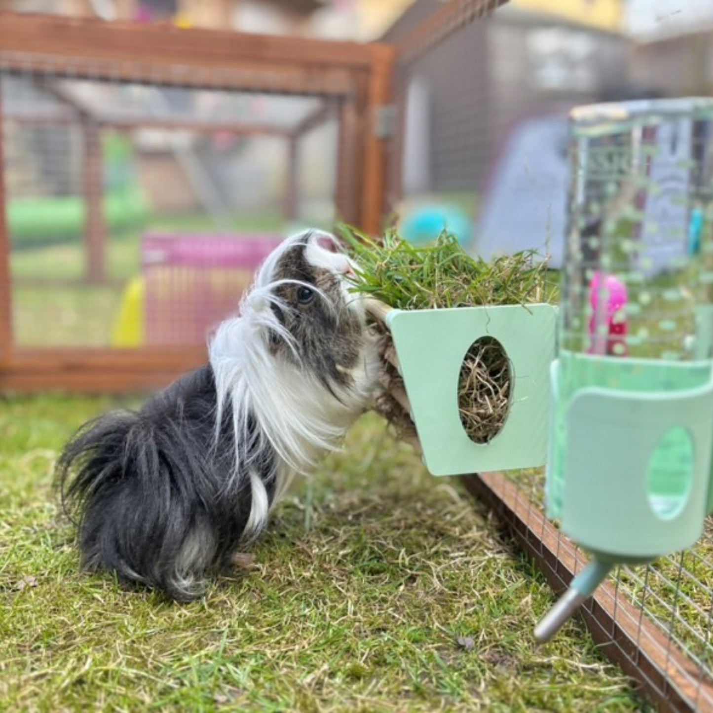 SINGLE Cage Mounted Hay Rack - Pastel Pink - TRADE