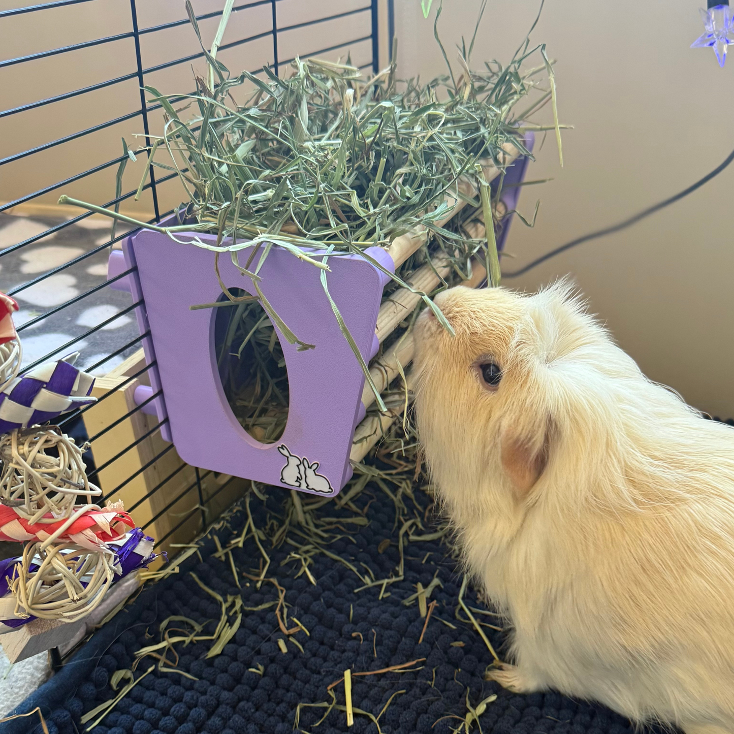 SINGLE Cage Mounted Hay Rack - Pastel Pink - TRADE