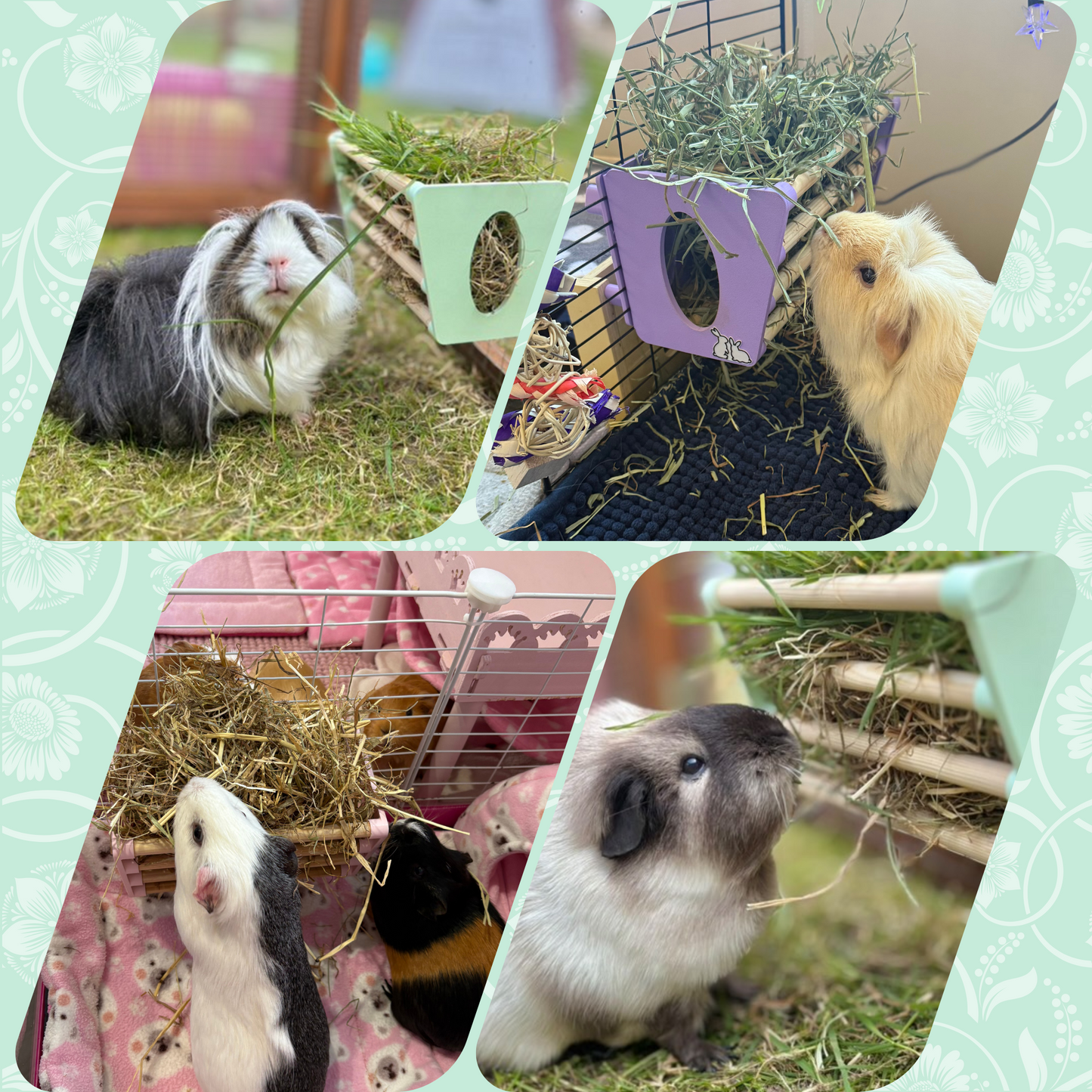 SINGLE Cage Mounted Hay Rack - Pastel Pink - TRADE