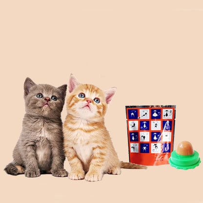Catnip Energy Ball Lick Toy