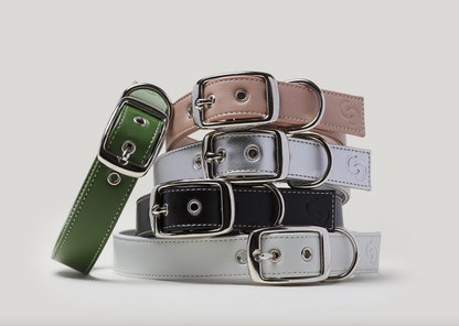 Classic black vegan apple leather dog collar